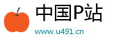 中国P站Logo