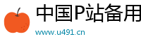 中国P站备用 - 中国P站高速冲！Logo