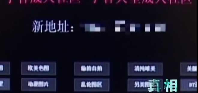 八星报喜1988 普通话版