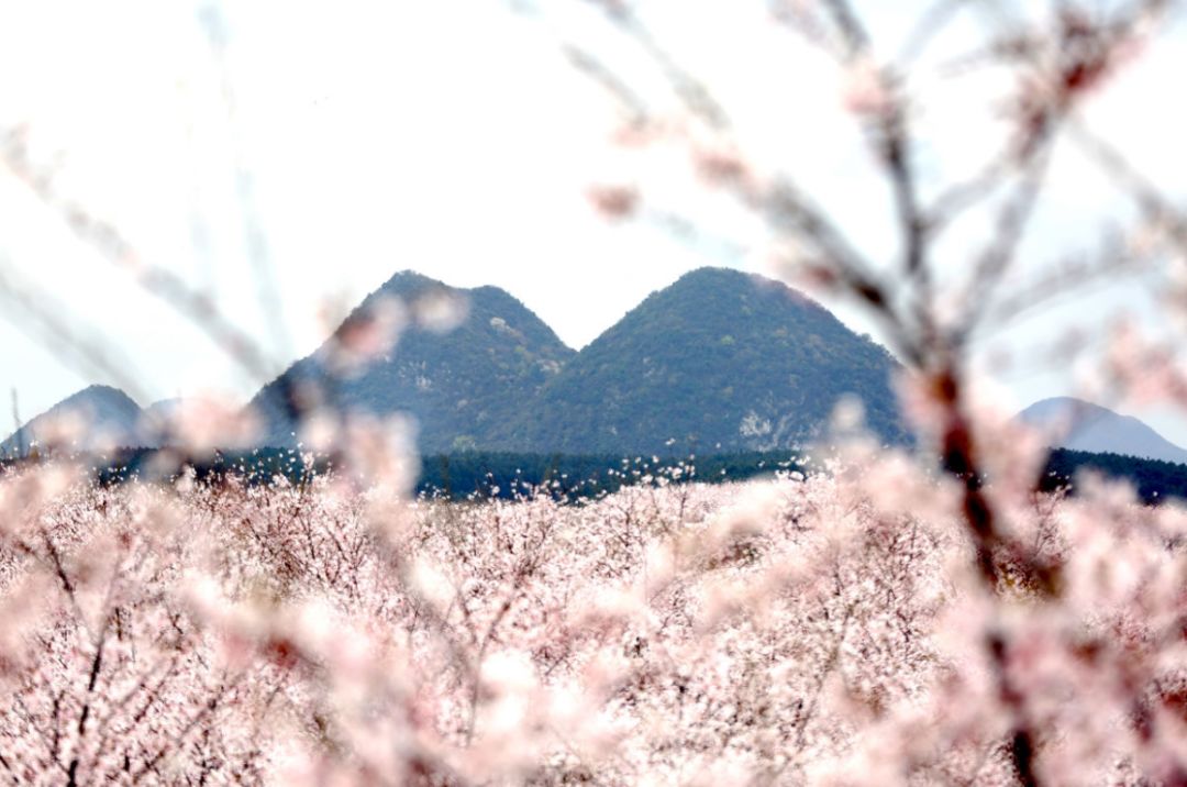 公众之敌（粤语版）