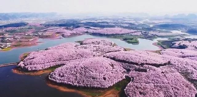 公众之敌（粤语版）