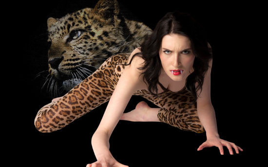 全职杀手(粤语版)