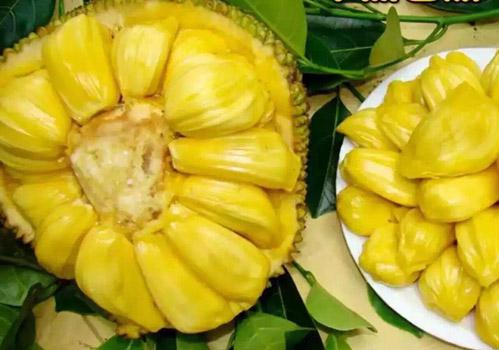 克雷斯的魔法学院