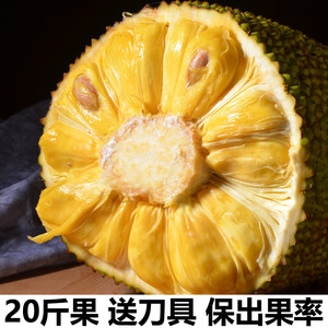 内蒙人民的胜利