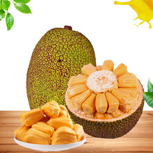 全世界最美的女孩