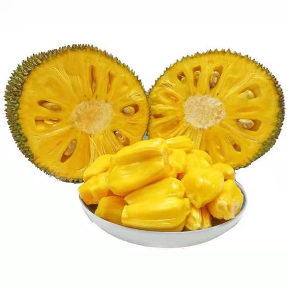 全职杀手（粤语版）