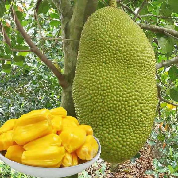 全职杀手(粤语版)